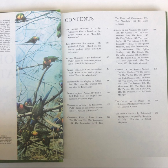 Vintage Disney Books ✨ c.1967 ✨ Set of 4 - Picture 8 of 16